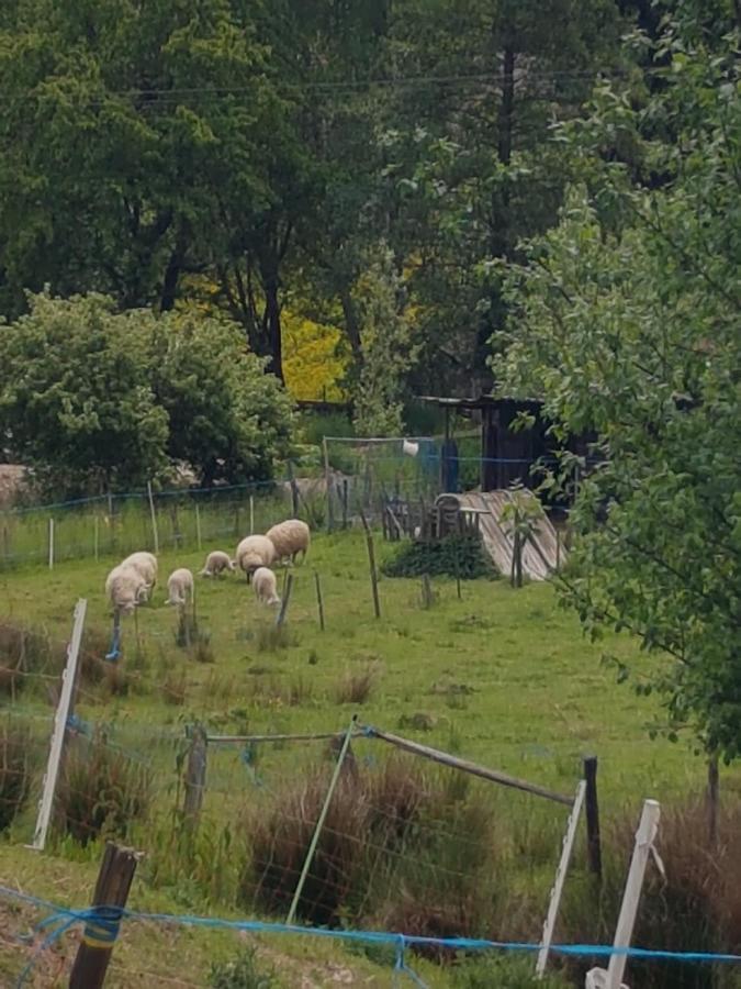 Gite A La Source Breitenbach Zewnętrze zdjęcie